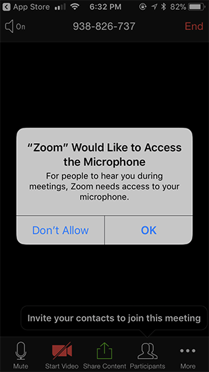 allow-zoom-access-permission-for-mic__1_.png